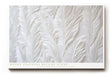 Paul Sinus Wandbild 120x80cm Weisse Federstruktur Relief Kunst minimalistisches Naturmotiv in sanften Strukturen fuer moderne Wohnräume