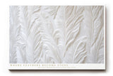 Paul Sinus Wandbild 120x80cm Weisse Federstruktur Relief Kunst minimalistisches Naturmotiv in sanften Strukturen fuer moderne Wohnräume