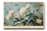 Paul Sinus Wandbild 120x80cm Weisse Gartenblumen gegen Himmel Botanische Kunst in Blau und Weiss Wanddekoration