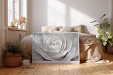Paul Sinus Wandbild 120x80cm Weisse Rose Makro Kunstmotiv Abstrakte Blumenstruktur mit sanften Formen und moderner Eleganz
