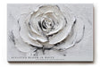 Paul Sinus Wandbild 120x80cm Weisse Rose Relief Blumen Kunst Moderne Strukturmalerei Elegantes Florales Kunstmotiv in Weiss und Grau