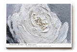 Paul Sinus Wandbild 120x80cm Weisse Rose Struktur Kunstmotiv Moderne Blumenmalerei mit plastischer Pinselstruktur und eleganter Wirkung