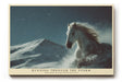 Paul Sinus Wandbild 120x80cm weisses Pferd im Schnee moderne Tierkunst winterliche Natur Szene grosses Kunstbild stilvolle Wanddekoration fuer Wohnzimmer Büro