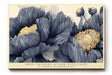 Paul Sinus Wandbild When Shadows Bloom with Light Floral Harmony