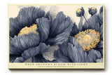 Paul Sinus Wandbild When Shadows Bloom with Light Floral Harmony