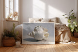 Paul Sinus Wandbild Whispers of a Hidden Ocean Seashell Beauty and Silence of Nature