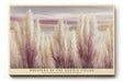 Paul Sinus Wandbild Whispers of the Gentle Fields Pampas Grass in Soft Pastel Serenity