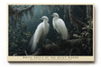 Paul Sinus Wandbild White Souls of the Quiet Woods – Mystische Eleganz und natürliche Anmut in stiller Waldlandschaft
