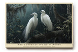 Paul Sinus Wandbild White Souls of the Quiet Woods – Mystische Eleganz und natürliche Anmut in stiller Waldlandschaft