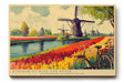Paul Sinus Wandbild 120x80cm Windmuehlen und Tulpenfelder Holland Landschaft in Rot Gruen und Blau