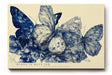 Paul Sinus Wandbild 120x80cm Wings in Blue Ink Abstrakte Schmetterlinge in Blau Tinten Illustration Natur Kunst fuer Wohnzimmer Schlafzimmer und Büro