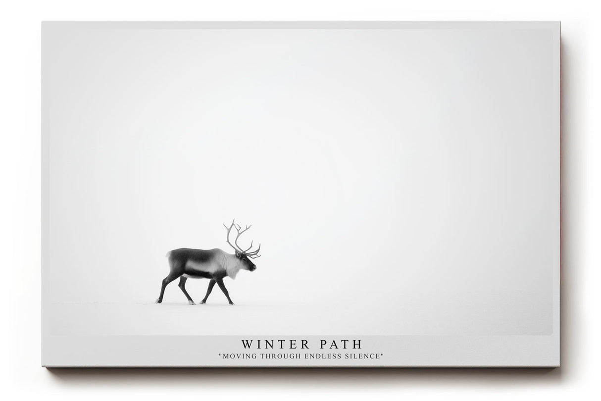 Paul Sinus Wandbild Winter Path minimalistisches Naturmotiv mit Hirsch im Schnee für moderne Wohnräume voller Ruhe und Klarheit