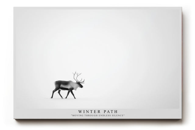 Paul Sinus Wandbild Winter Path minimalistisches Naturmotiv mit Hirsch im Schnee für moderne Wohnräume voller Ruhe und Klarheit