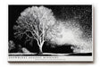Paul Sinus Wandbild 120x80cm Winterbaum Schneesturm Schwarz Weiss Kontrastreiche Naturkunst Minimalistische Landschaft für Wohnzimmer Büro Flur