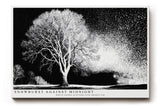 Paul Sinus Wandbild 120x80cm Winterbaum Schneesturm Schwarz Weiss Kontrastreiche Naturkunst Minimalistische Landschaft für Wohnzimmer Büro Flur