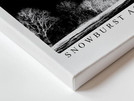 Paul Sinus Wandbild 120x80cm Winterbaum Schneesturm Schwarz Weiss Kontrastreiche Naturkunst Minimalistische Landschaft für Wohnzimmer Büro Flur