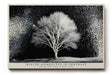 Paul Sinus Wandbild 120x80cm Winterbaum Schwarz Weiss Kontrastreiche Naturkunst Minimalistische Landschaft für Wohnzimmer Büro Flur