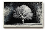 Paul Sinus Wandbild 120x80cm Winterbaum Schwarz Weiss Kontrastreiche Naturkunst Minimalistische Landschaft für Wohnzimmer Büro Flur