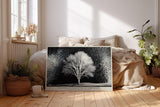 Paul Sinus Wandbild 120x80cm Winterbaum Schwarz Weiss Kontrastreiche Naturkunst Minimalistische Landschaft für Wohnzimmer Büro Flur