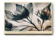 Paul Sinus Wandbild 120x80cm zarte Blaetter im Gegenlicht botanische Kunst minimalistische Naturfotografie stilvolle Wanddekoration fuer Wohnzimmer Büro