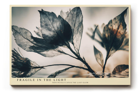 Paul Sinus Wandbild 120x80cm zarte Blaetter im Gegenlicht botanische Kunst minimalistische Naturfotografie stilvolle Wanddekoration fuer Wohnzimmer Büro