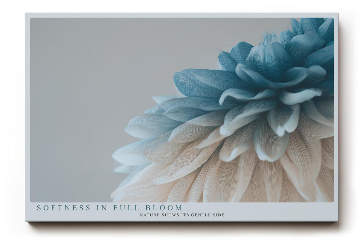 Paul Sinus Wandbild 120x80cm zarte Bluete Makroaufnahme in Blau und Creme moderne florale Kunst stilvolle Wanddekoration fuer Wohnzimmer Büro