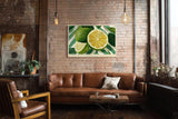 Paul Sinus Wandbild 120x80cm Zitrone Illustration frisches Obst modern grün gelb Küche Kunstbild sommerliche Frucht Illustration stilvolle Wanddekoration für Küche Esszimmer Café