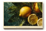 Paul Sinus Wandbild 120x80cm Zitronen Stillleben frische Fruechte im Wasser sommerliche Naturfotografie gelb gruene Farben moderne Kuechen Wanddekoration fuer Esszimmer Wohnzimmer