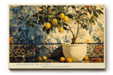 Paul Sinus Wandbild 120x80cm Zitronenbaum mediterrane Stillleben Malerei moderne Obst Kunst Kunstdruck grosses Wandbild 120x80cm sonnige Wanddekoration fuer Kueche Esszimmer Wohnzimmer