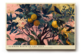 Paul Sinus Wandbild 120x80cm Zitronenbaum mit Vogel Botanische Kunst in Grün Gelb und Rosa für Wohnzimmer Küche Büro