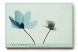 Paul Sinus Wandbild 120x80cm zwei Blumen minimalistische Naturkunst moderne florale Illustration sanfte Pastellfarben Kunstdruck stilvolle Wanddekoration fuer Wohnzimmer Schlafzimmer
