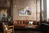 Paul Sinus Wandbild 120x80cm Zwei Kätzchen Nahaufnahme Süße Tierfotografie Katzen Kunst für Wohnzimmer Schlafzimmer Kinderzimmer