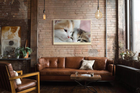 Paul Sinus Wandbild 120x80cm Zwei Kätzchen Nahaufnahme Süße Tierfotografie Katzen Kunst für Wohnzimmer Schlafzimmer Kinderzimmer