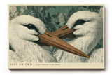 Paul Sinus Wandbild 120x80cm Zwei Voegel Natur Illustration Stilvolle Tierkunst Gruene Naturfarben Kunstdruck Poster Grosse Wanddekoration fuer Wohnzimmer Schlafzimmer Büro