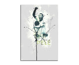 full_Pele-III_90x60cm_FRONT_1280x1280.jpg