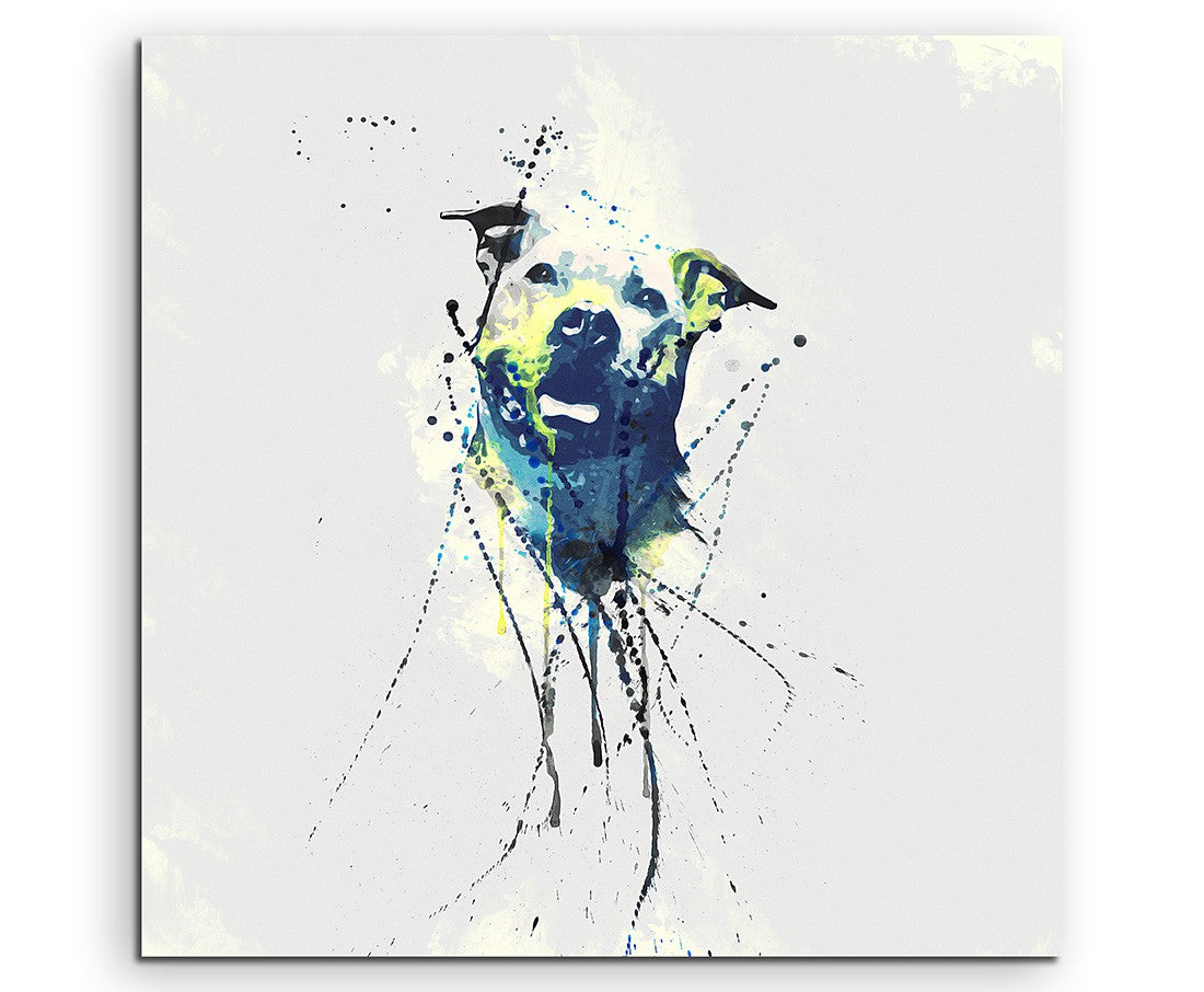 full_Pitbull_60x60cm_FRONT_1280x1280.jpg