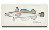 Remast_0844_1280x1280.jpg