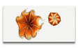 Remast_0655_1280x1280.jpg