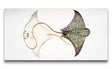 Remast_0989_1280x1280.jpg