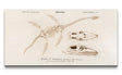 Remast_0492_1280x1280.jpg