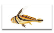 Remast_0910_1280x1280.jpg