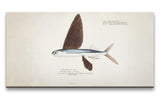Remast_0829_1280x1280.jpg