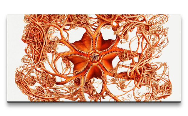 Remast_0648_1280x1280.jpg