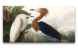Remast_0280_1280x1280.jpg