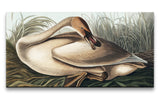 Remast_0255_1280x1280.jpg