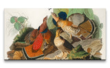 Remast_0282_1280x1280.jpg