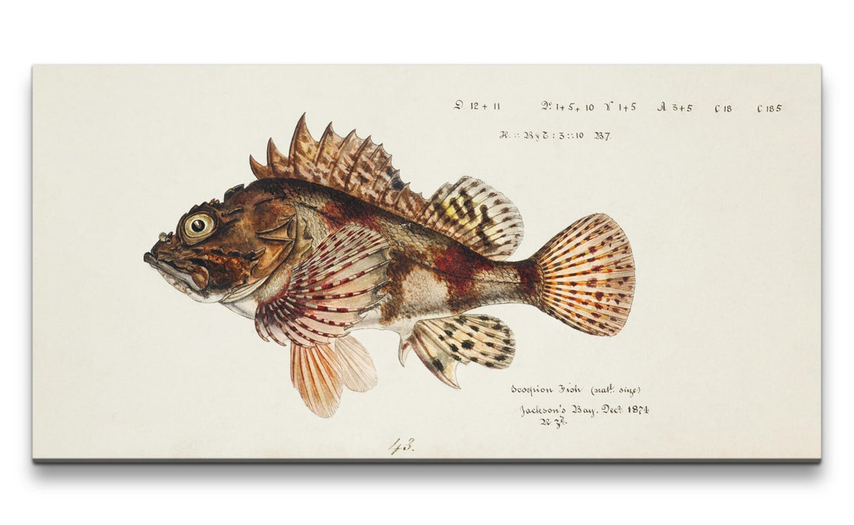 Remast_0830_1280x1280.jpg