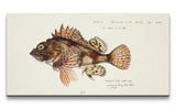 Remast_0830_1280x1280.jpg