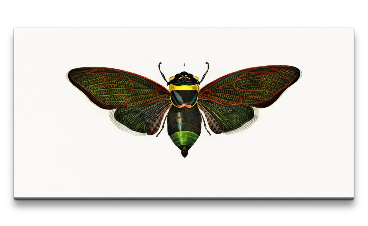 Remast_0488_1280x1280.jpg