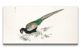 Remast_0745_1280x1280.jpg